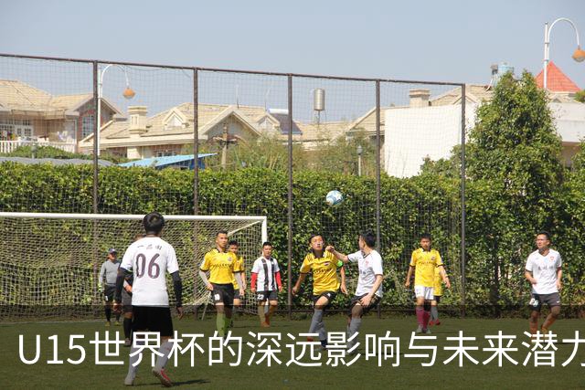 U15世界杯的深远影响与未来潜力分析
